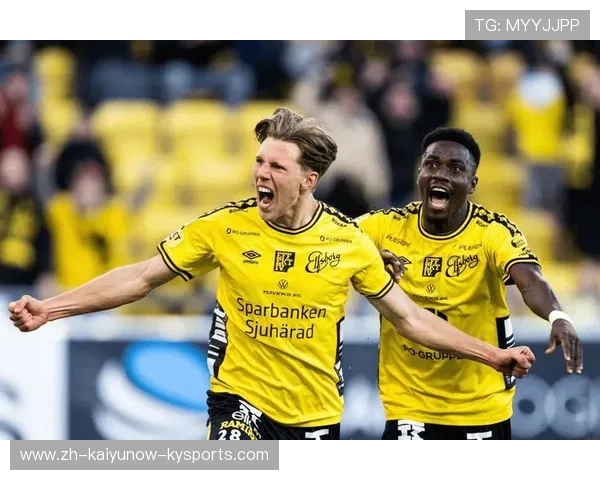 德甲降级球队文案：分析德甲降级球队的困境与未来展望